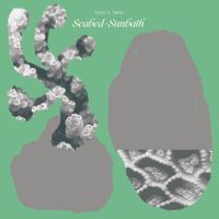 Loris S. Sarid - Seabed-Sunbath