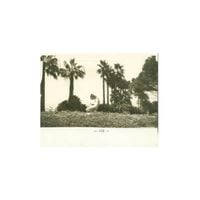 Puce Mary - The Closed Room