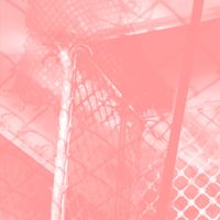 Pinkcourtesyphone - all intensive purposes