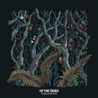 Of The Trees - Tanglewood