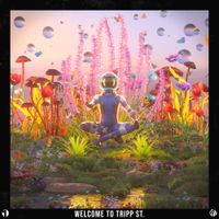 Tripp St. - Welcome To Tripp St.