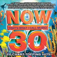 Various Artists - Now That's What I Call Music! 30
