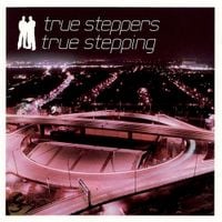 True Steppers - True Stepping