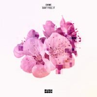 Chime - Can't Feel It