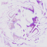 Eeyora - jokari
