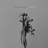 The Naked and Famous - Hearts Like Ours