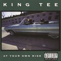 King T - At Your Own Risk