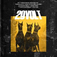 Dwooswa - 29Volt