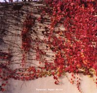 Tarentel - Paper White
