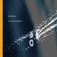 A Country Western - birdfeeder
