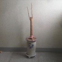 Mudd the student - Equator