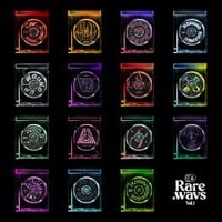 Foreign Family Collective - Rare.wavs, Vol. 1
