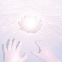 Dolphins Into The Future - The Music of Belief