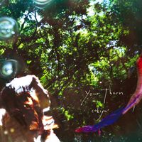 Cokiyu - Your Thorn