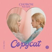 Apink CHOBOM - Copycat