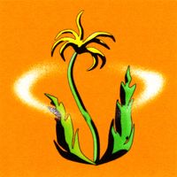The Volunteers - New Plant