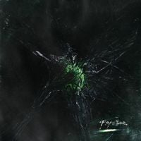 Prompts - Fracture