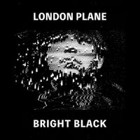 London Plane - Bright Black
