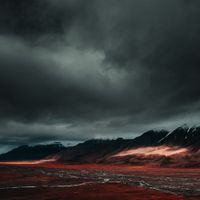 Warmth - The Night