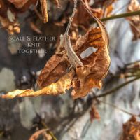 Scale & Feather - Knit Together