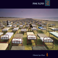 Pink Floyd - A Momentary Lapse of Reason