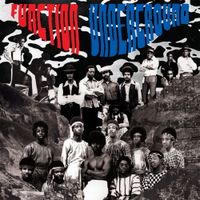 Various Artists - Function Undergound: The Black and Brown American Rock Sound 1969-1974