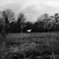Flatsound - when you run away, do you close your eyes