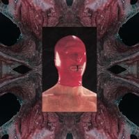 Schacke - Apocalyptic Decadence