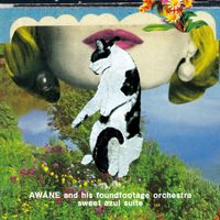 Awane And His Foundfootage Orchestra - sweet azul suite