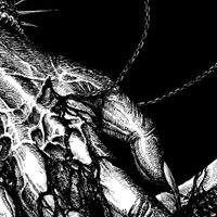 Shades - Purification