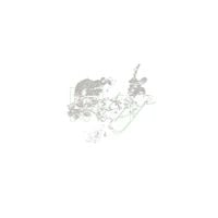 Various Artists - Contre tout, toutes et tous, la terre demeure