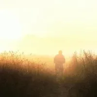 Fatal - Легкие цветы