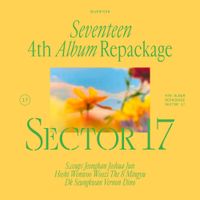 SEVENTEEN - SECTOR 17