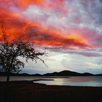 Keep Shelly In Athens - Our Own Dream