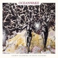 Oceanwake - Lights Flashing in Mute Scenery
