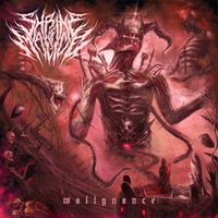 Shrine Of Malice - Malignance