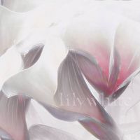 Hyperlink - Lilywhite