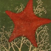 The Blithe Sons - Arm of the Starfish