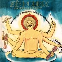 Z&eacute; Rodrix - Quem Sabe Sabe Quem N&atilde;o Sabe N&atilde;o Precisa Saber