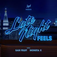 Sam Feldt - Late Night Feels