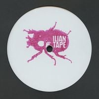 Forest Drive West - Creeper