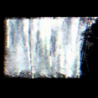 Mild Sorrow Integrated - meadow platinum plus