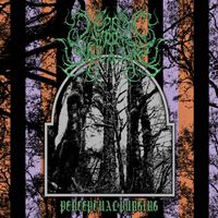 Lysergic Mirror - Perceptual Purging