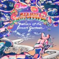 Red Hot Chili Peppers - Return of the Dream Canteen
