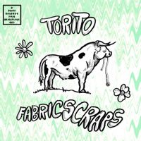Torito - Fabric Scraps