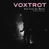 Voxtrot - Raised by Wolves (EP) - Reviews - Album of The Year