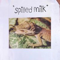 Super Drugs - Spilled Milk