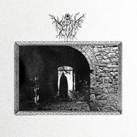 Nocturnacul - The Veins