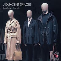 Dries Tack - Adjacent Spaces