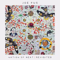 Joe Pug - Nation of Heat Revisited